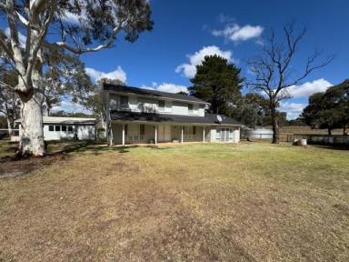 Acreage/Semi-rural For Lease - NSW - Goulburn - 2580 - Your Dream Country Retreat!  (Image 2)