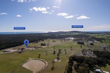 Residential Block For Sale - TAS - Badger Head - 7270 - Prime Coastal Acreage  (Image 2)