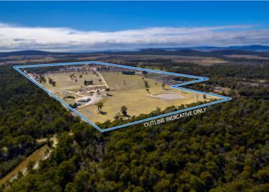 Residential Block For Sale - TAS - Badger Head - 7270 - Prime Coastal Acreage  (Image 2)