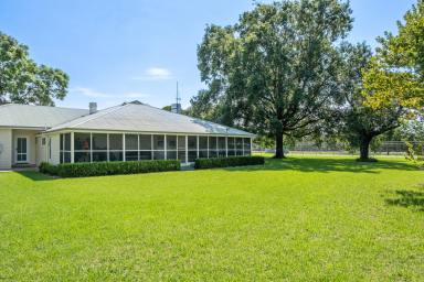 Mixed Farming For Sale - NSW - Ashford - 2361 - Mixed Grazing, Irrigation & Ready to Sell  (Image 2)