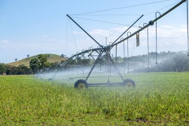 Mixed Farming For Sale - NSW - Ashford - 2361 - Mixed Grazing, Irrigation & Ready to Sell  (Image 2)