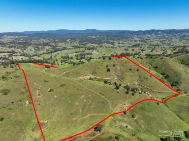 Lifestyle For Sale - NSW - Bunyah - 2429 - Embrace the Rural Lifestyle!  (Image 2)