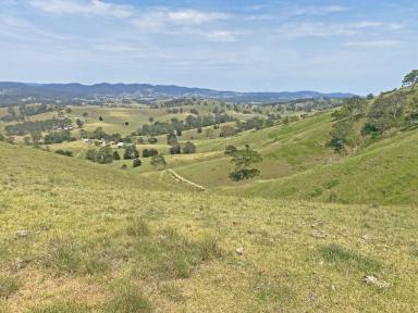 Lifestyle For Sale - NSW - Bunyah - 2429 - Embrace the Rural Lifestyle!  (Image 2)