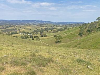 Lifestyle For Sale - NSW - Bunyah - 2429 - Embrace the Rural Lifestyle!  (Image 2)