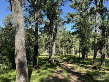 Lifestyle For Sale - NSW - Bunyah - 2429 - Embrace the Rural Lifestyle!  (Image 2)