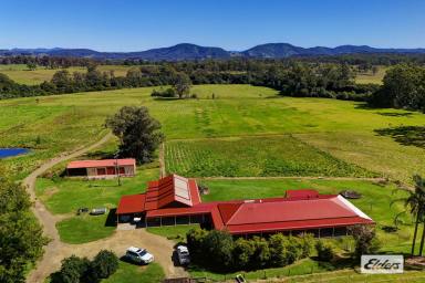 Acreage/Semi-rural For Sale - NSW - Cedar Party - 2429 - WHERE LIFESTYLE MEETS OPPORTUNITY  (Image 2)