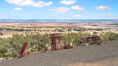 Mixed Farming For Sale - NSW - Mullaley - 2379 - Highly Regarded Farming & Grazing in the tightly held Mullaley District.  (Image 2)