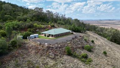 Mixed Farming For Sale - NSW - Mullaley - 2379 - Highly Regarded Farming & Grazing in the tightly held Mullaley District.  (Image 2)