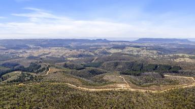 Residential Block For Sale - NSW - Running Stream - 2850 - Escape to Nature – 60.5ha Bush Block at Running Stream  (Image 2)