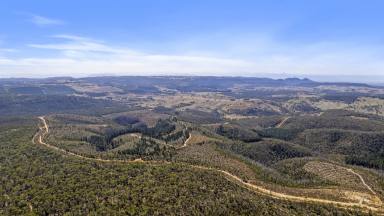 Residential Block For Sale - NSW - Running Stream - 2850 - Escape to Nature – 60.5ha Bush Block at Running Stream  (Image 2)