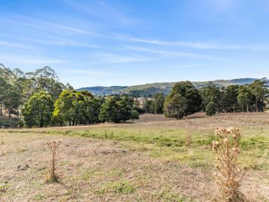 House For Sale - TAS - Lower Barrington - 7306 - Escape to Beautiful Lower Barrington!  (Image 2)