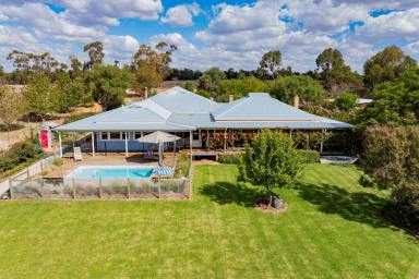 Mixed Farming For Sale - NSW - The Rock - 2655 - Riverina Mixed Farming with a Reputation  (Image 2)