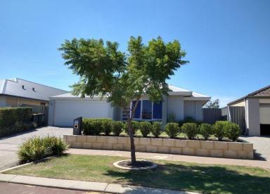 House Leased - WA - Byford - 6122 - Stunning 4x2 family house for rent in the prestigious Glade Estate  (Image 2)