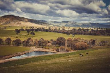 Residential Block For Sale - VIC - Corryong - 3707 - Elevated Lifestyle Acreage. Blue Ribbon Living in Corryong. Exclusive Views. Ready for Your Vision.  (Image 2)
