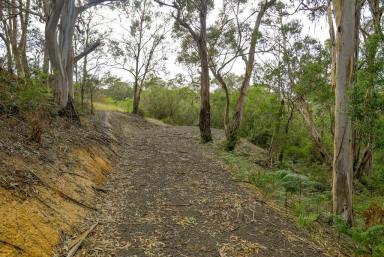 Residential Block For Sale - VIC - Glenaire - 3238 - PRISTINE 9-ACRE BUSH ESCAPE  (Image 2)