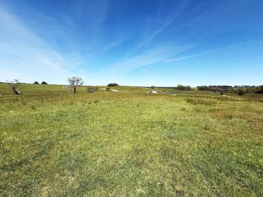 Lifestyle For Sale - NSW - Laggan - 2583 - 11 Grazing Acres , Near Crookwell, Perfect Hobby Farm or Weekender, Shed + Dam  (Image 2)