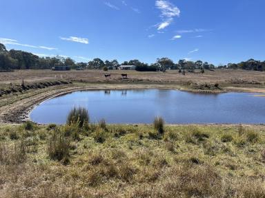Lifestyle For Sale - NSW - Laggan - 2583 - 11 Acres – Hobby Farm Potential – Dam, Shed & Close to Crookwell  (Image 2)