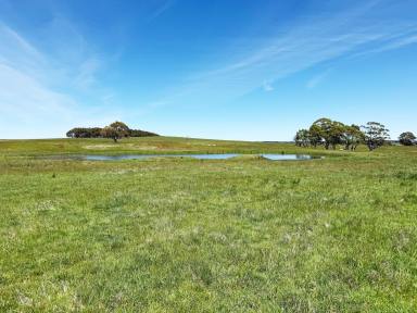 Lifestyle For Sale - NSW - Laggan - 2583 - 11 Grazing Acres , Near Crookwell, Perfect Hobby Farm or Weekender, Shed + Dam  (Image 2)