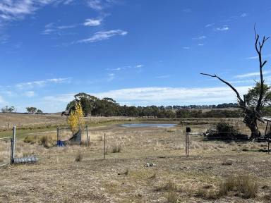 Lifestyle For Sale - NSW - Laggan - 2583 - Rural Beginners, 11 Acres, Hobby Farm, Close to Town, Dam & She’d.  (Image 2)