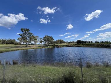 Acreage/Semi-rural For Sale - NSW - Carrick - 2580 - Charming Rural Retreat On 100 Beautiful Acres.  (Image 2)