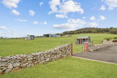 Acreage/Semi-rural For Sale - NSW - Carrick - 2580 - 100 Acre Rural Property, Spacious Home, Workshop, Dams, Views, Lifestyle  (Image 2)