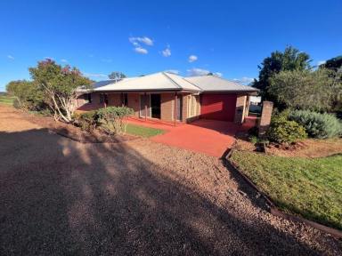 House For Sale - QLD - Kingaroy - 4610 - Private home set on 1 Acre, backing onto Farm  (Image 2)