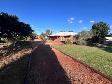 House For Sale - QLD - Kingaroy - 4610 - Private home set on 1 Acre, backing onto Farm  (Image 2)
