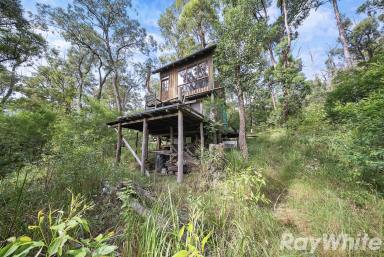 Residential Block For Sale - NSW - Booral - 2425 - Adventure Wonderland, DA Approved ECO Tourist facility  (Image 2)