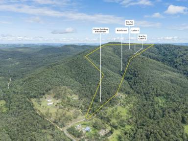Residential Block For Sale - NSW - Booral - 2425 - Adventure Wonderland, DA Approved ECO Tourist facility  (Image 2)