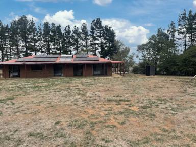 House For Sale - NSW - Dry Plain - 2630 - Rural Splendour and Modern Comfort  (Image 2)