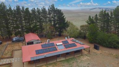 House For Sale - NSW - Dry Plain - 2630 - Rural Splendour and Modern Comfort  (Image 2)