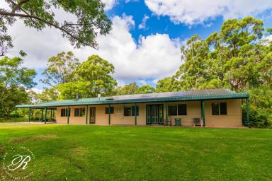 Acreage/Semi-rural For Sale - NSW - Stroud - 2425 - A Lifestyle of Comfort & Seclusion on 3.8 Acres  (Image 2)