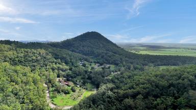 Land/Development For Sale - QLD - Oakenden - 4741 - LIFESTYLE BLOCK - 38 ACRES OAKENDEN  (Image 2)