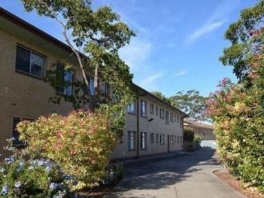 Flat Leased - SA - Seaton - 5023 - Convenience Meets Comfort in the Heart of Seaton  (Image 2)