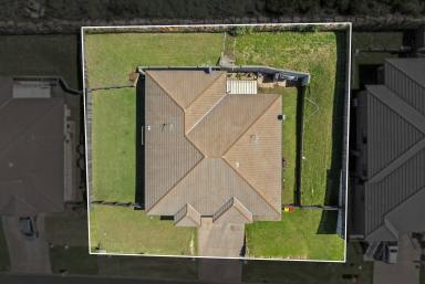 Duplex/Semi-detached For Sale - QLD - Cranley - 4350 - Modern Dual-Income Opportunity on 1,001sqm – Live In, Invest or Both!  (Image 2)