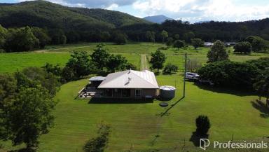Acreage/Semi-rural For Sale - QLD - Eton - 4741 - Stunning 51 Acres of Lifestyle Rural Property!  (Image 2)