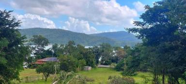 House For Sale - QLD - Cannonvale - 4802 - Beautiful Whitsundays  (Image 2)
