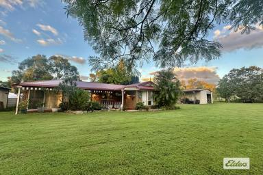 House For Sale - QLD - Regency Downs - 4341 - My Slice of Serenity  (Image 2)