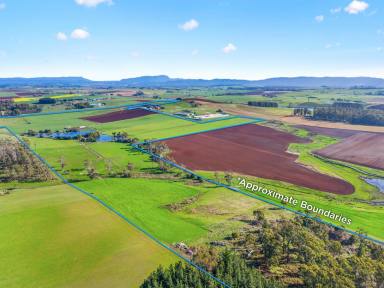 Cropping For Sale - TAS - Sassafras - 7307 - Your Gateway to Agricultural Prosperity  (Image 2)