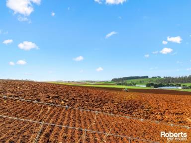 Cropping For Sale - TAS - Sassafras - 7307 - Your Gateway to Agricultural Prosperity  (Image 2)