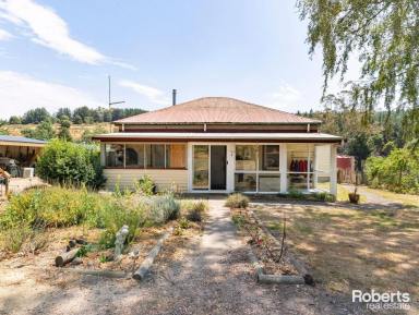 House For Sale - TAS - Lower Beulah - 7306 - Sustainable & Independent Lifestyle Awaits  (Image 2)