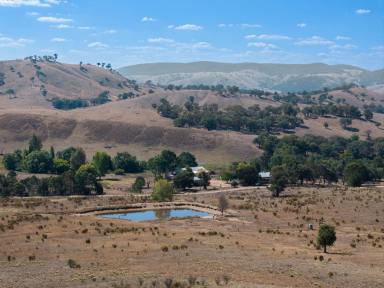 Lifestyle Auction - NSW - Boorowa - 2586 - "Mt Tanga" Escape to the Country - 100 Acre Lifestyle Opportunity  (Image 2)