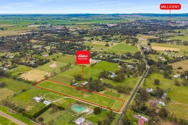 Residential Block For Sale - SA - Millicent - 5280 - Country lifestyle living starts here!  (Image 2)