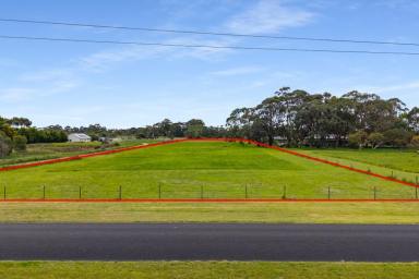 Residential Block For Sale - SA - Millicent - 5280 - Country lifestyle living starts here!  (Image 2)