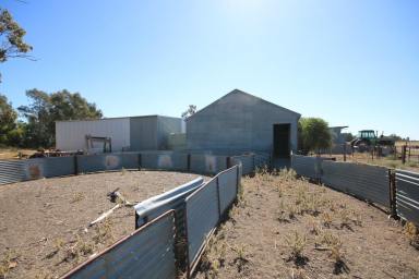 Cropping For Sale - VIC - Canary Island - 3537 - 640 ACRES WITH CREEK AND RIVER FRONTAGE  (Image 2)