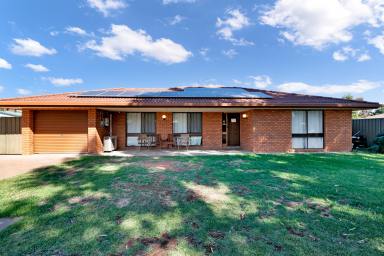 House Sold - VIC - Mildura - 3500 - Great Family Home  (Image 2)