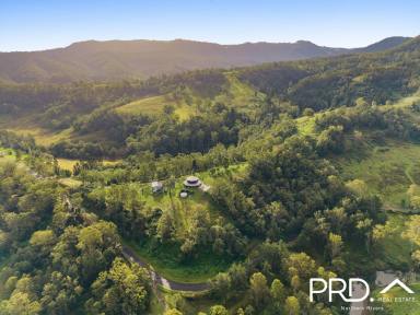 Lifestyle For Sale - NSW - Gradys Creek - 2474 - Spectacular Lifestyle Property  (Image 2)