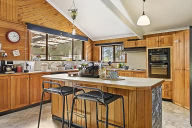 House For Sale - TAS - Forest - 7330 - Spacious Family Home on Peaceful Rural Block – Just 10 Mins from Town!  (Image 2)