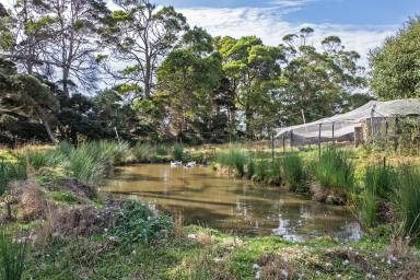 House For Sale - TAS - Forest - 7330 - Spacious Family Home on Peaceful Rural Block – Just 10 Mins from Town!  (Image 2)