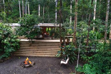 Residential Block For Sale - QLD - Lake Macdonald - 4563 - Nestled In Nature - Tranquil Acreage With Studio  (Image 2)